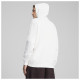 Puma Ανδρικό φούτερ Essentials Small No. 1 Logo Hoodie